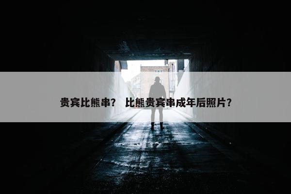 贵宾比熊串？ 比熊贵宾串成年后照片？