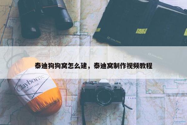 泰迪狗狗窝怎么建，泰迪窝制作视频教程
