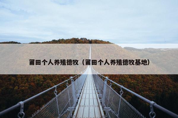 莆田个人养殖德牧（莆田个人养殖德牧基地）