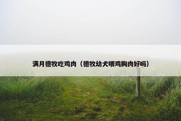 满月德牧吃鸡肉（德牧幼犬喂鸡胸肉好吗）