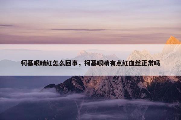 柯基眼睛红怎么回事，柯基眼睛有点红血丝正常吗