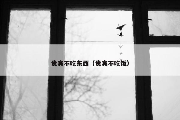 贵宾不吃东西（贵宾不吃饭）
