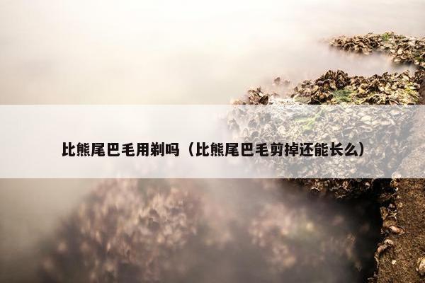 比熊尾巴毛用剃吗（比熊尾巴毛剪掉还能长么）