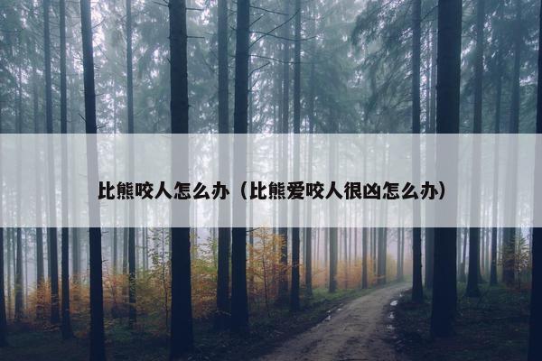 比熊咬人怎么办（比熊爱咬人很凶怎么办）