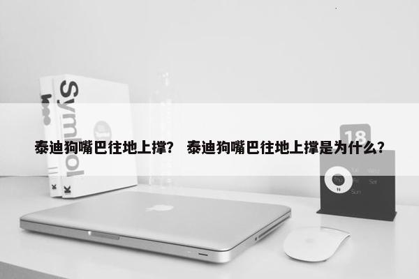 泰迪狗嘴巴往地上撑？ 泰迪狗嘴巴往地上撑是为什么？