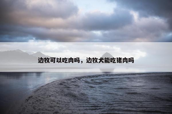 边牧可以吃肉吗，边牧犬能吃猪肉吗