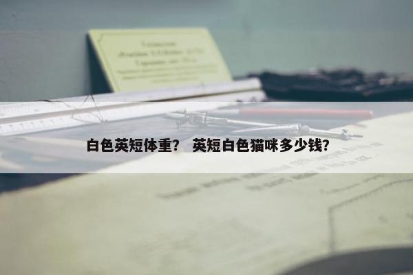 白色英短体重？ 英短白色猫咪多少钱？