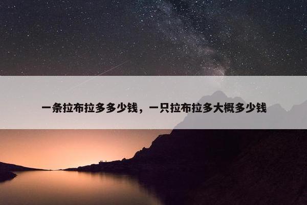 一条拉布拉多多少钱，一只拉布拉多大概多少钱