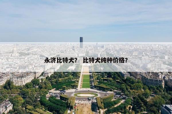 永济比特犬？ 比特犬纯种价格？