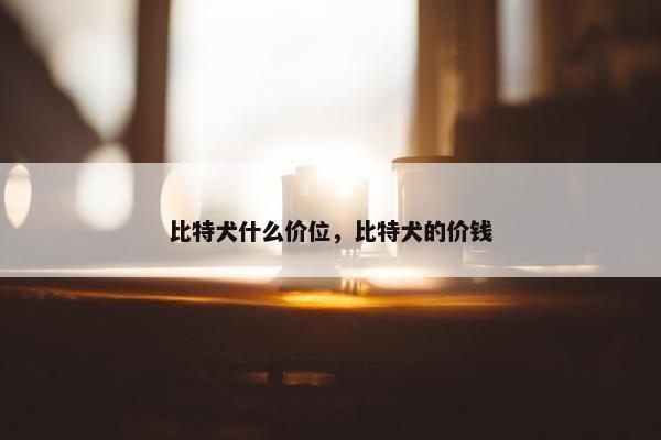 比特犬什么价位，比特犬的价钱