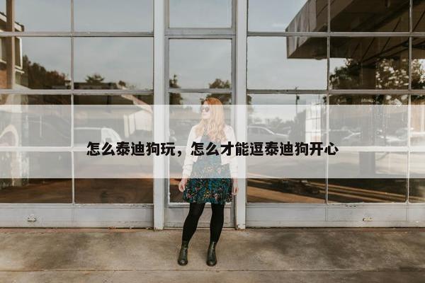 怎么泰迪狗玩，怎么才能逗泰迪狗开心