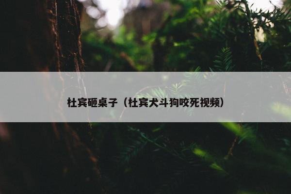 杜宾砸桌子（杜宾犬斗狗咬死视频）