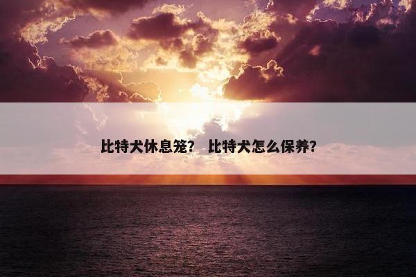 比特犬休息笼？ 比特犬怎么保养？