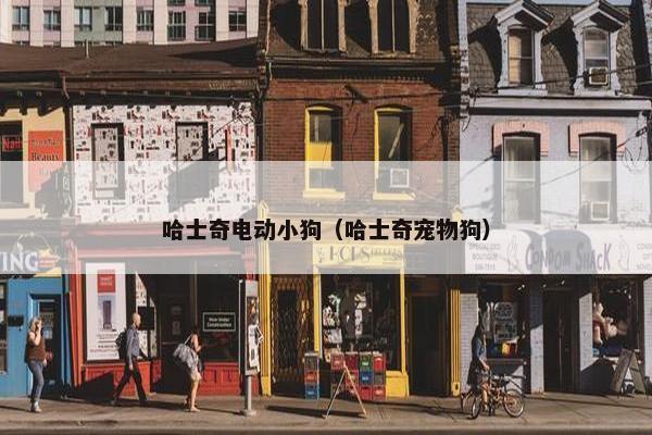 哈士奇电动小狗（哈士奇宠物狗）