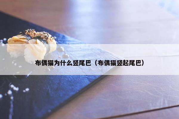 布偶猫为什么竖尾巴（布偶猫竖起尾巴）