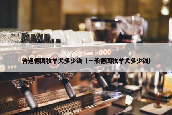 普通德国牧羊犬多少钱（一般德国牧羊犬多少钱）