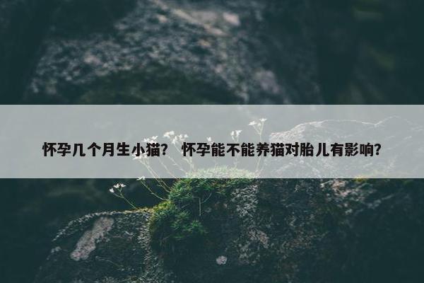 怀孕几个月生小猫？ 怀孕能不能养猫对胎儿有影响？