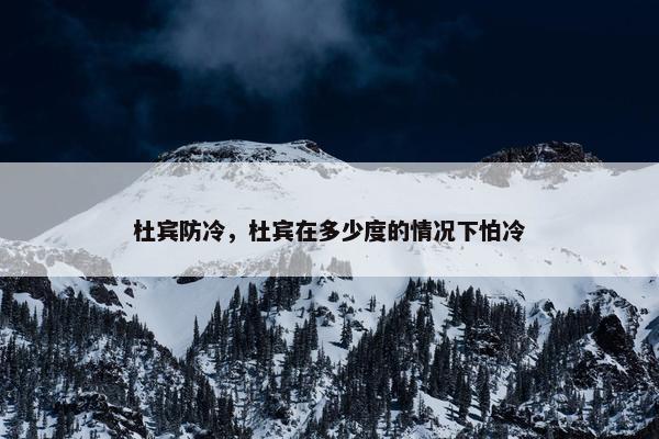 杜宾防冷，杜宾在多少度的情况下怕冷