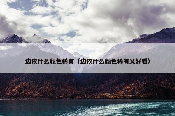 边牧什么颜色稀有（边牧什么颜色稀有又好看）
