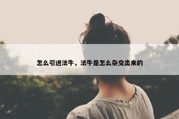 怎么引进法牛，法牛是怎么杂交出来的