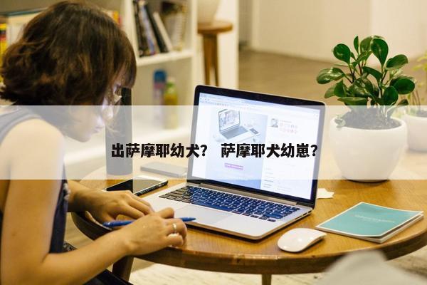 出萨摩耶幼犬？ 萨摩耶犬幼崽？