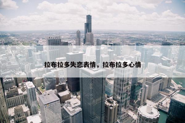 拉布拉多失恋表情，拉布拉多心情