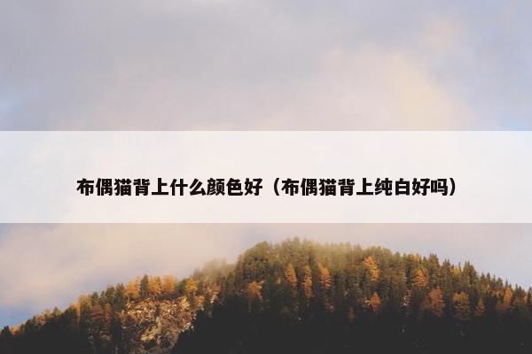 布偶猫背上什么颜色好（布偶猫背上纯白好吗）