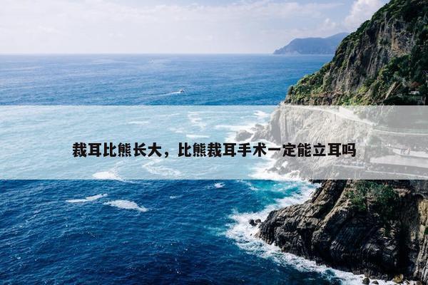 裁耳比熊长大，比熊裁耳手术一定能立耳吗