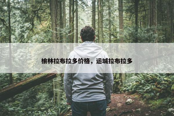 榆林拉布拉多价格，运城拉布拉多
