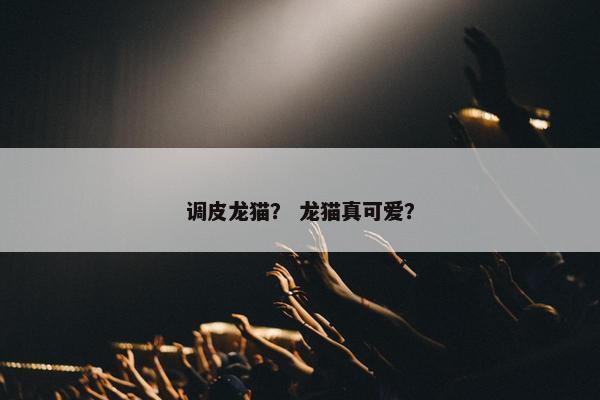 调皮龙猫？ 龙猫真可爱？
