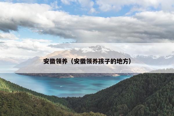 安徽领养（安徽领养孩子的地方）