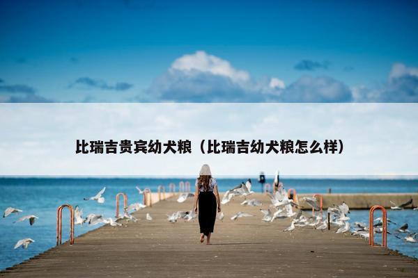 比瑞吉贵宾幼犬粮（比瑞吉幼犬粮怎么样）