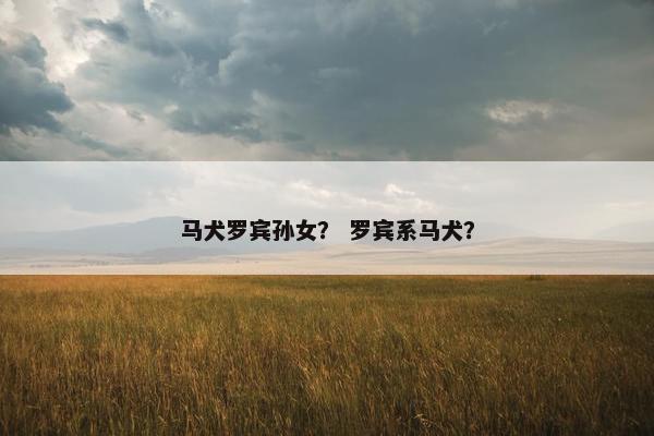 马犬罗宾孙女？ 罗宾系马犬？