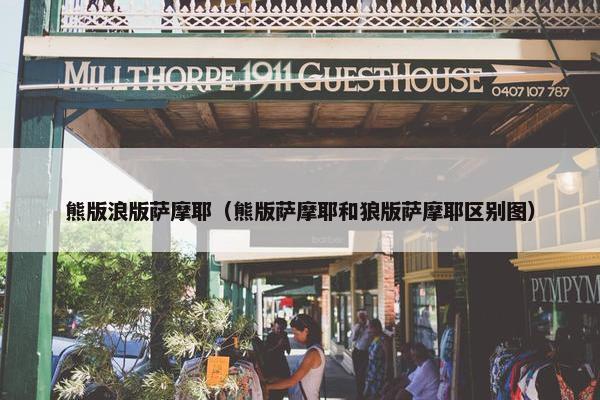 熊版浪版萨摩耶（熊版萨摩耶和狼版萨摩耶区别图）