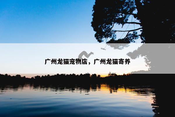 广州龙猫宠物店，广州龙猫寄养