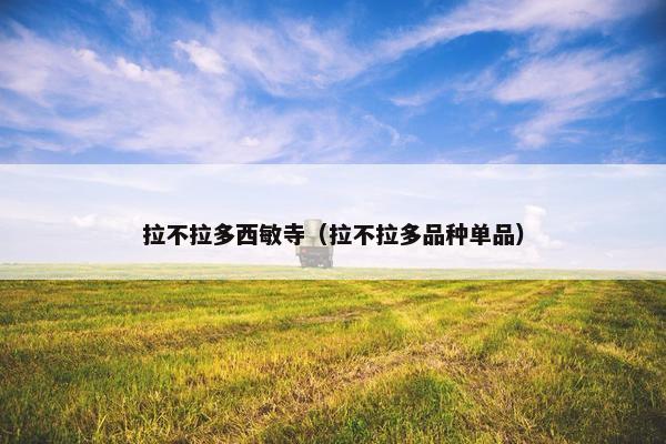 拉不拉多西敏寺（拉不拉多品种单品）
