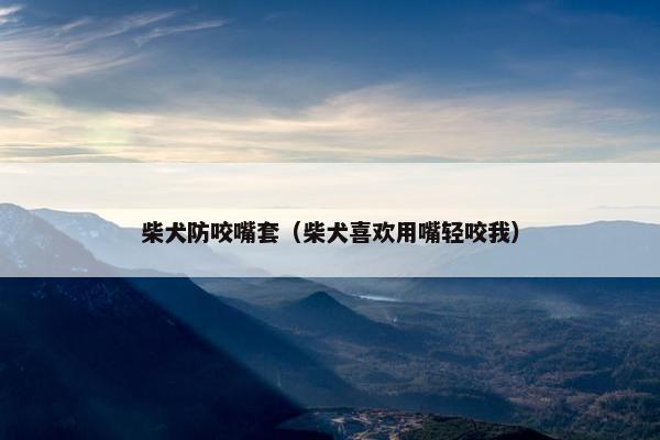 柴犬防咬嘴套（柴犬喜欢用嘴轻咬我）