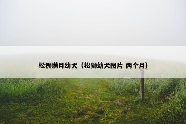 松狮满月幼犬（松狮幼犬图片 两个月）