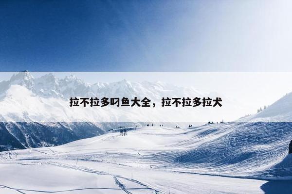 拉不拉多叼鱼大全，拉不拉多拉犬