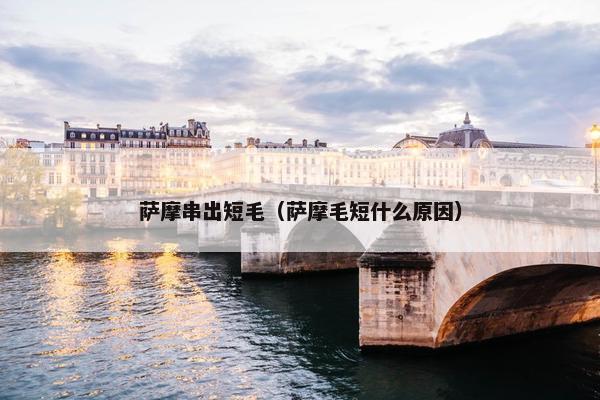 萨摩串出短毛（萨摩毛短什么原因）