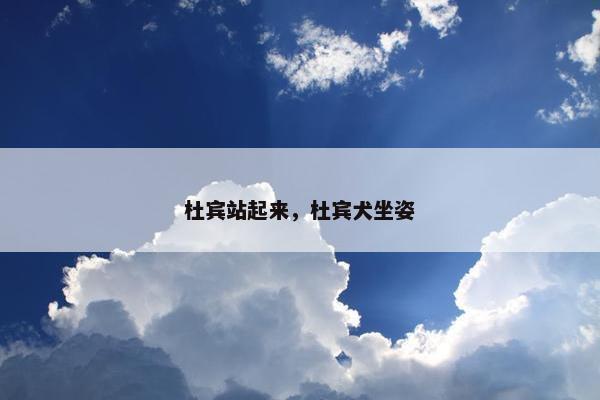 杜宾站起来，杜宾犬坐姿