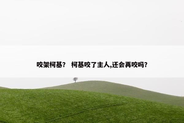 咬架柯基？ 柯基咬了主人,还会再咬吗？