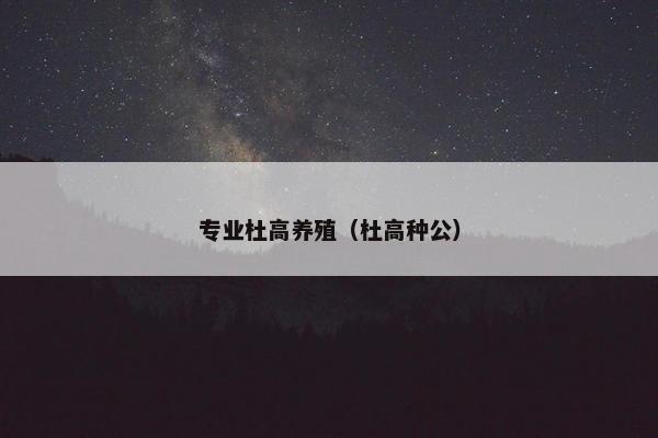 专业杜高养殖（杜高种公）