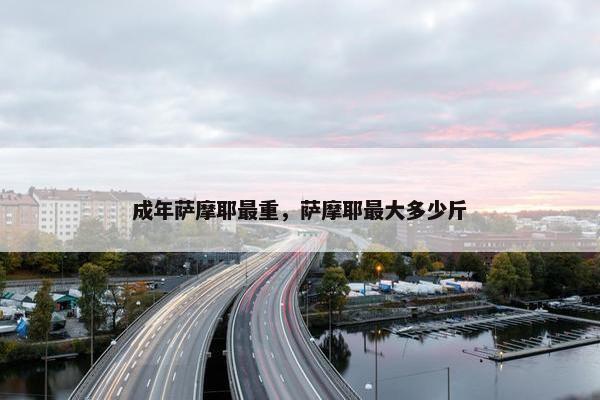 成年萨摩耶最重，萨摩耶最大多少斤