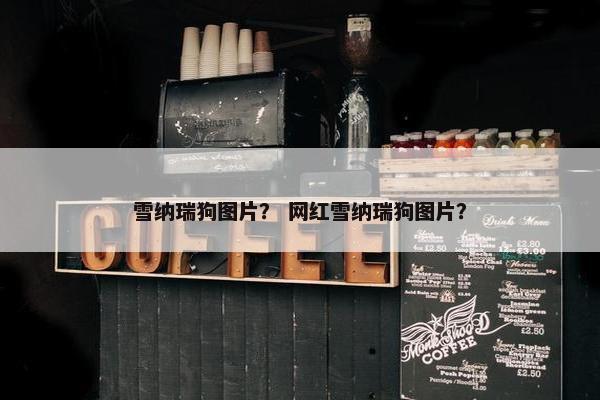 雪纳瑞狗图片？ 网红雪纳瑞狗图片？