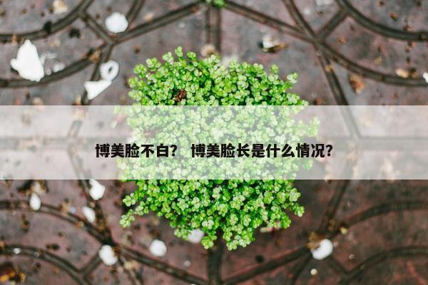 博美脸不白？ 博美脸长是什么情况？