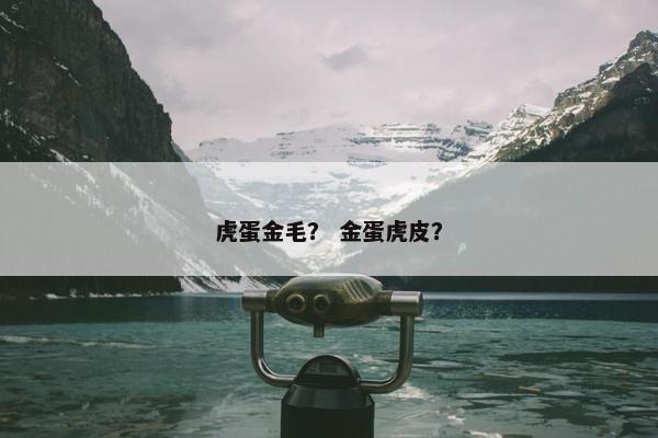 虎蛋金毛？ 金蛋虎皮？