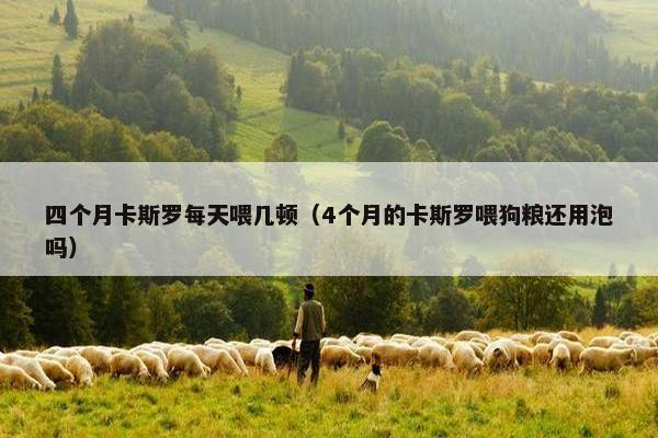 四个月卡斯罗每天喂几顿（4个月的卡斯罗喂狗粮还用泡吗）