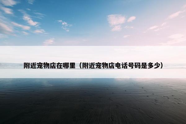 附近宠物店在哪里（附近宠物店电话号码是多少）