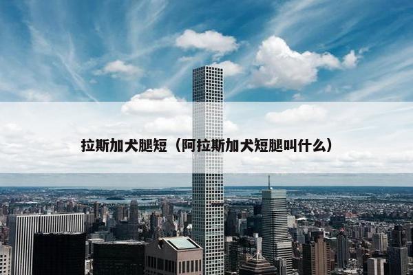 拉斯加犬腿短（阿拉斯加犬短腿叫什么）